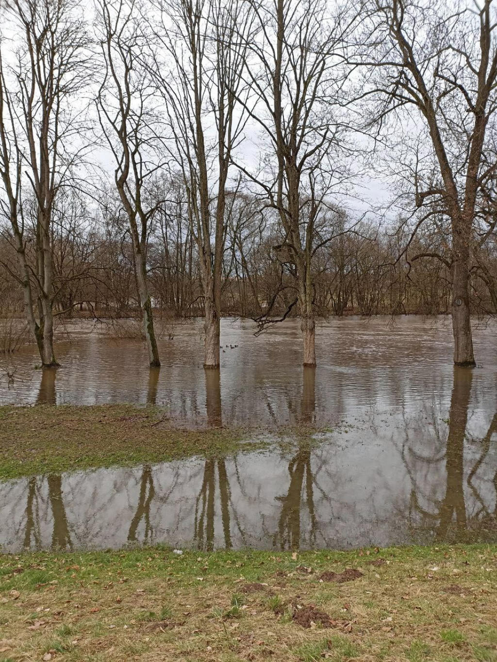 Jizera v Mnichově Hradišti 26. prosince 2023 v 11 hodin