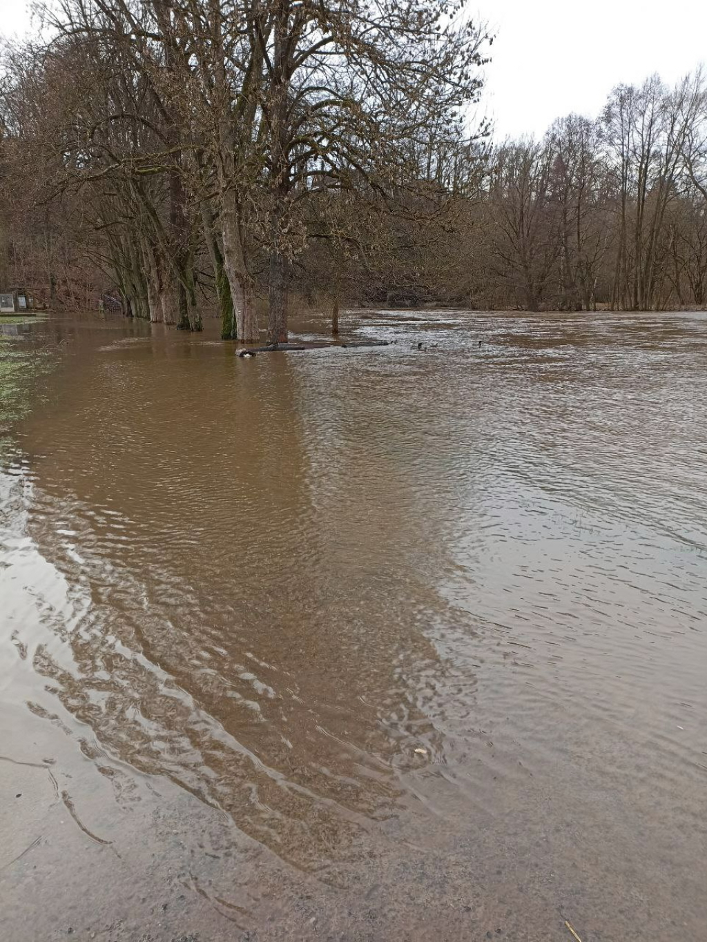 Jizera v Mnichově Hradišti 26. prosince 2023 v 11 hodin