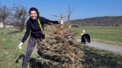 Dobrovolníci uklízeli Boseň, nasbírali přes dvě tuny odpadu. Foto: SDH Boseň Dobrovolníci uklízeli Boseň, nasbírali přes dvě tuny odpadu. Foto: SDH Boseň