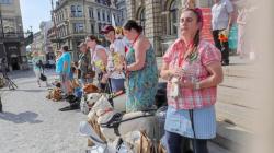 V Liberci se konalo Mistrovství České republiky vodicích psů. Foto: spolek Život jde dál