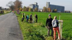 Na sázení ovocných stromů mezi Kněžmostem a Koprníkem dorazilo rekordních 90 dobrovolníků. Foto: ČSOP Klenice