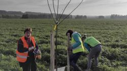 Na sázení ovocných stromů mezi Kněžmostem a Koprníkem dorazilo rekordních 90 dobrovolníků. Foto: ČSOP Klenice