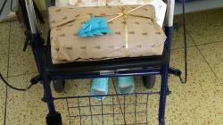 Nadílka na ONP Mnichovo Hradiště. Foto: Klaudiánova nemocnice