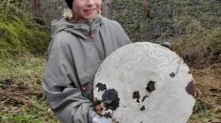 Foto: Osadní výbor Olšina