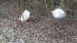 Foto: Osadní výbor Olšina