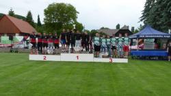 Ve Dnebohu se konalo 2. kolo Velké ceny ČR v požárním útoku. Foto: HZS Středočeského kraje