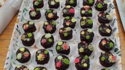 2. místo – minidortíky Veroniky Drahoňovské. Foto: Petr Novák