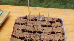 Cena pro nejmladší cukráře – brownies se slaným karamelem Lucie Šnokhousové. Foto: Petr Novák