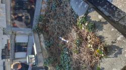 Foto: Michaela Švermová