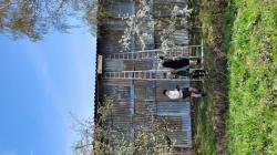 Věšení budek v Kněžmostu. Foto: ČSOP Klenice