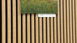 Foto: Hana Uhríková