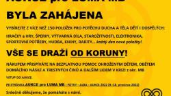 On-line aukce pomůže ohroženým dětem, obětem domácího násilí a dalším lidem v krizi