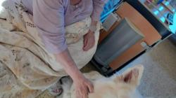 Pokud má Ami se svou paničkou Anetou volnou chvíli, zajdou za klienty oddělení následné péče v Mnichově Hradišti. Foto: Klaudiánova nemocnice