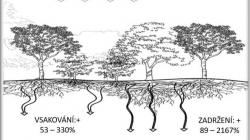 Zdroj: ČSOP Klenice