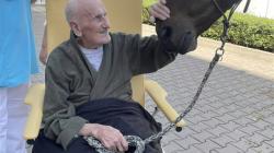 Pacienty v mladoboleslavské nemocnici navštívil kůň. Foto: Klaudiánova nemocnice