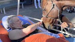 Pacienty v mladoboleslavské nemocnici navštívil kůň. Foto: Klaudiánova nemocnice