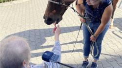 Pacienty v mladoboleslavské nemocnici navštívil kůň. Foto: Klaudiánova nemocnice