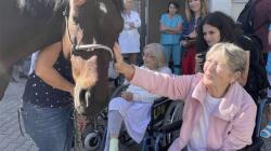 Pacienty v mladoboleslavské nemocnici navštívil kůň. Foto: Klaudiánova nemocnice