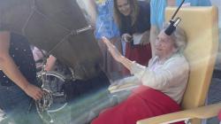 Pacienty v mladoboleslavské nemocnici navštívil kůň. Foto: Klaudiánova nemocnice