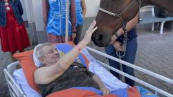 Pacienty v mladoboleslavské nemocnici navštívil kůň. Foto: Klaudiánova nemocnice