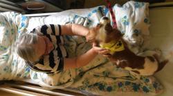 Foto: Klaudiánova nemocnice