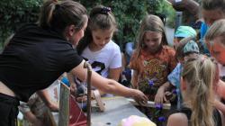 Foto: Kateřina Suchanová