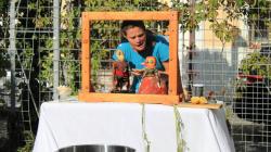 Foto: Kateřina Suchanová