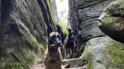 Středočeský policejní pochod za krásami Českého ráje si užily stovky účastníků. Foto: Policie ČR