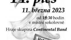 Spolek rodičů a přátel při ZŠ Kněžmost pořádá 14. školní ples
