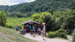 Kam za degustačními stánky a foodtrucky na moravských a českých vinicích. Foto: vinazmoravyvinazech.cz