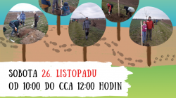 Chystá se obnova zaniklé cesty mezi Dnebohem a Přestavlky. Na výsadbě stromků se můžete podílet i vy