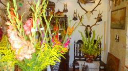 Foto: Radek Žďánský