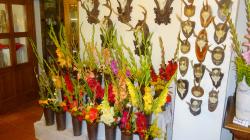 Foto: Radek Žďánský