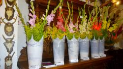 Foto: Radek Žďánský