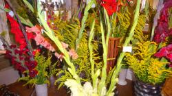 Foto: Radek Žďánský