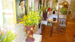 Foto: Radek Žďánský