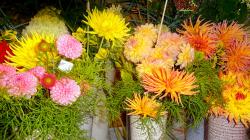 Foto: Radek Žďánský