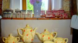 Foto: Radek Žďánský