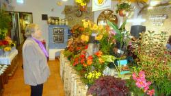 Foto: Radek Žďánský