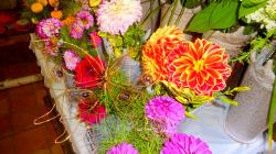 Foto: Radek Žďánský