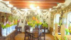 Foto: Radek Žďánský