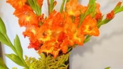 Foto: Radek Žďánský