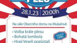 SDH Borovice pořádá v sobotu v Mukařově tradiční zástěrkový ples