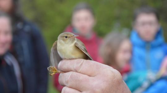 Vítání ptačího zpěvu v Dolním Bousově s Pavlem Kverkem. Foto: Zdeněk Plešinger