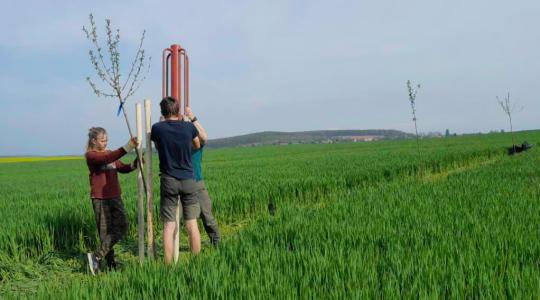 V sobotu 7. listopadu se můžete podílet na výsadbě stromů v Podolí V sobotu 7. listopadu se můžete podílet na výsadbě stromů v Podolí