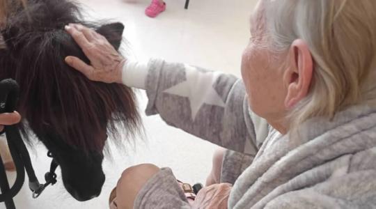 Zdroj: Klaudiánova nemocnice