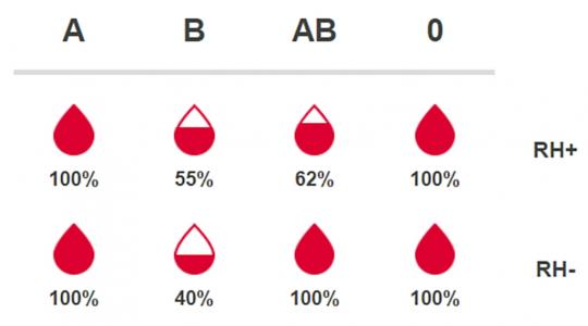 Klaudiánova nemocnice má on-line ukazatel stavu krevních zásob