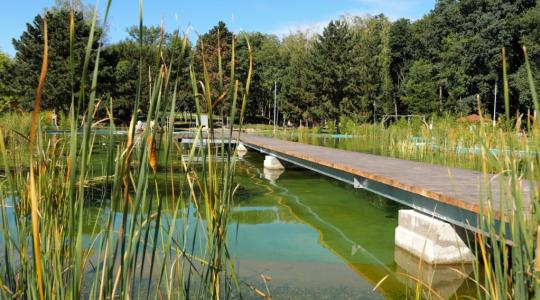 Biotop Kosmonosy. Foto: NF Škoda Auto