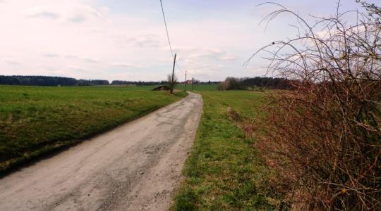 Cesta, podél které budou stromky vysázeny. Foto: archiv obce Ptýrov