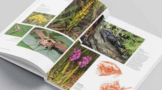 Fotografická výstava a křest knihy o přírodě Mladoboleslavska se blíží